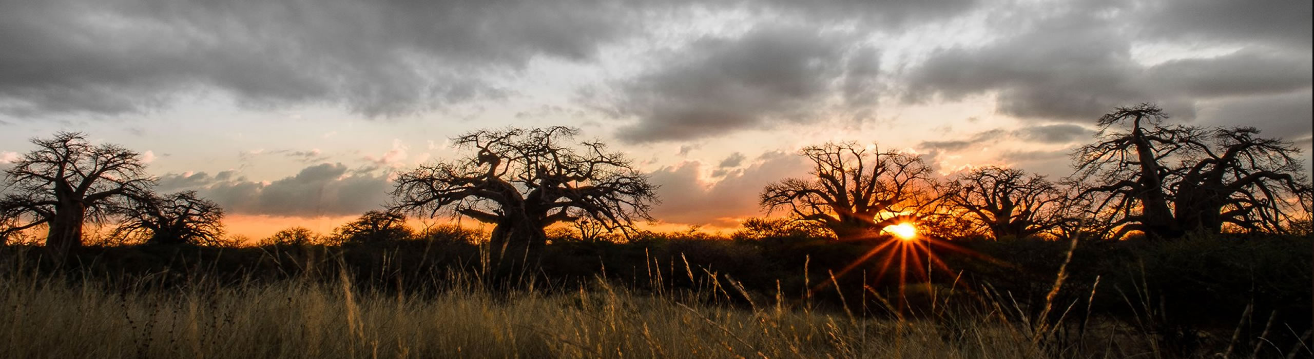 BREATHTAKING SCENERY